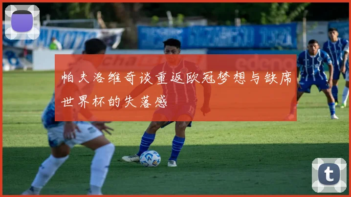 帕夫洛维奇谈重返欧冠梦想与缺席世界杯的失落感