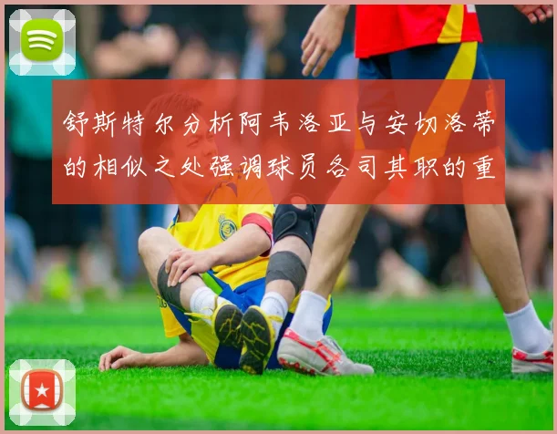 舒斯特尔分析阿韦洛亚与安切洛蒂的相似之处强调球员各司其职的重要性